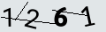 verifycode